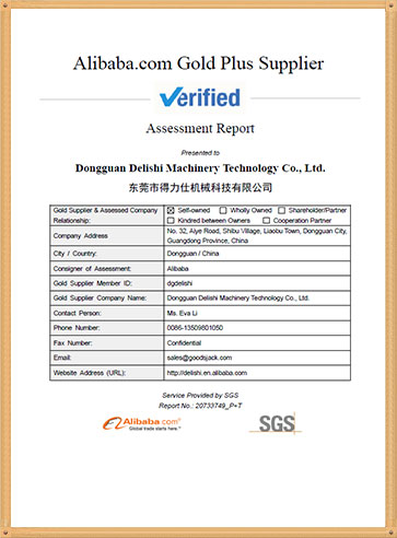 Delishi hydraulic press machine SGS certificate